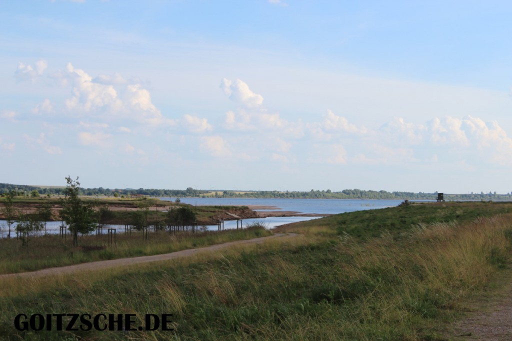 Hochwasser Nähe des Wehr Lober Leine Kanal 